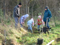 Tree Planting.JPG